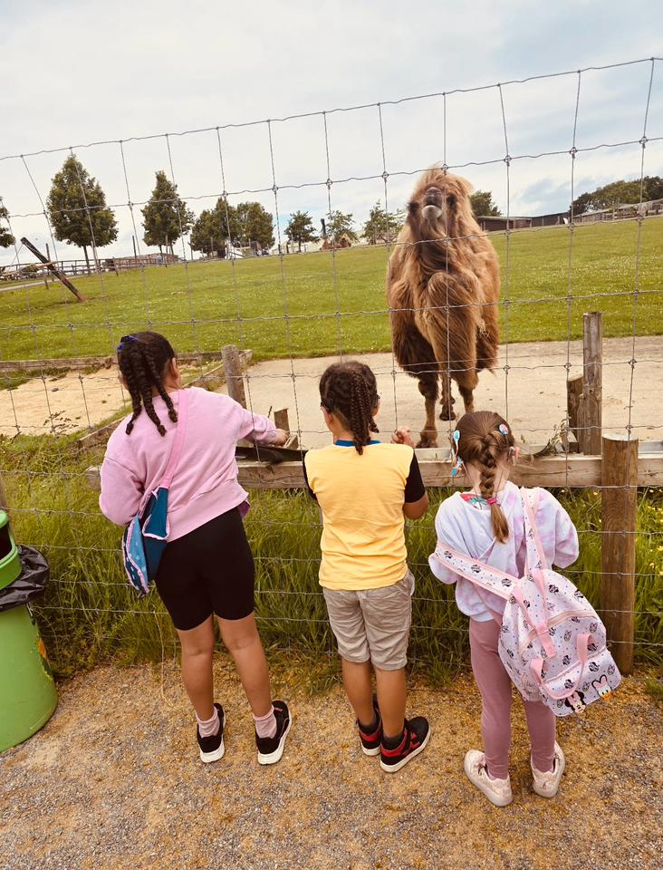 Family Trip to Noah's Ark Zoo Farm - image 2