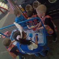 Stokes Wood Primary School - HAF - image 2