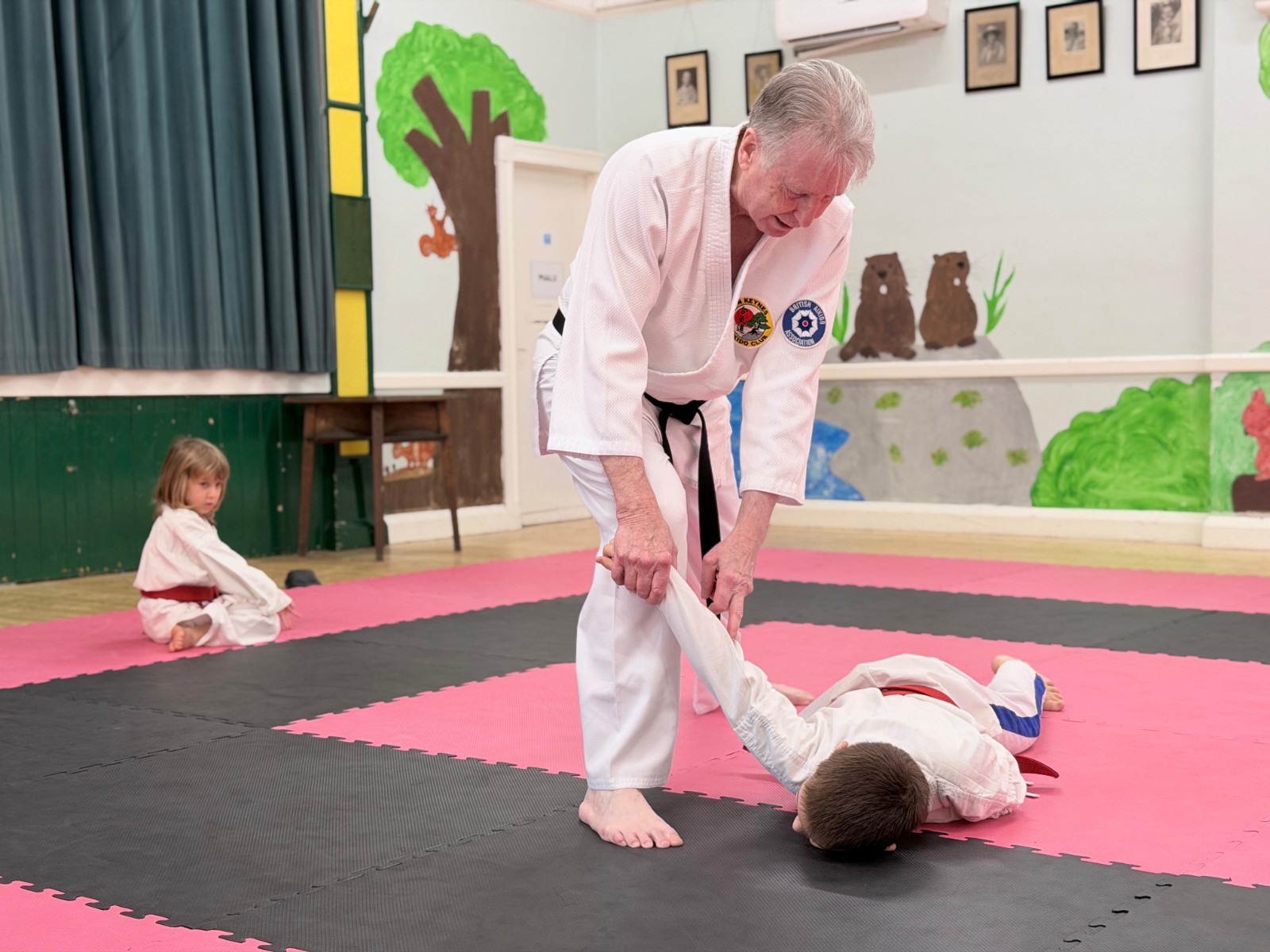 Milton Keynes Aikido Club Free Trial Classes - image 23