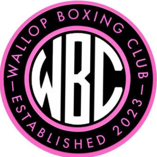 Wallop Boxing Club Summer Bootcamp block mentored by Wallop Boxing Club