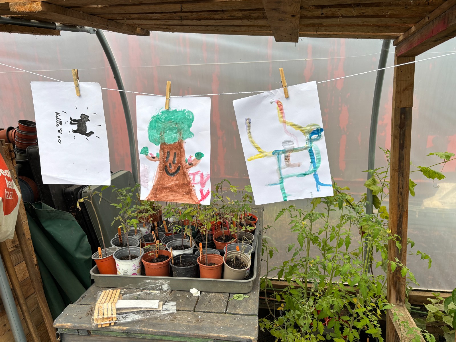 Nature Explorers - image 11