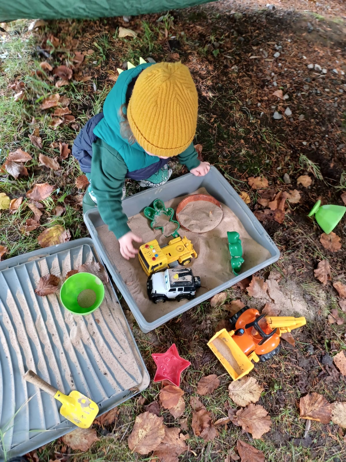 Seedlings@Riverside Glantawe block mentored by Forest School SNPT