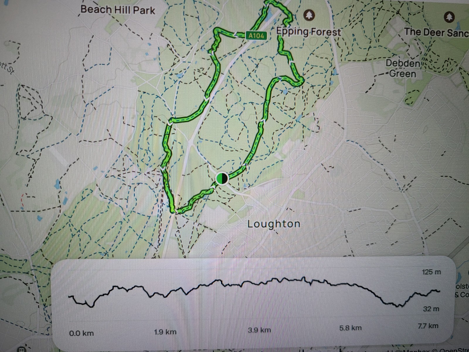 Nexus Trailblazer: A walk in Epping Forest - image 2