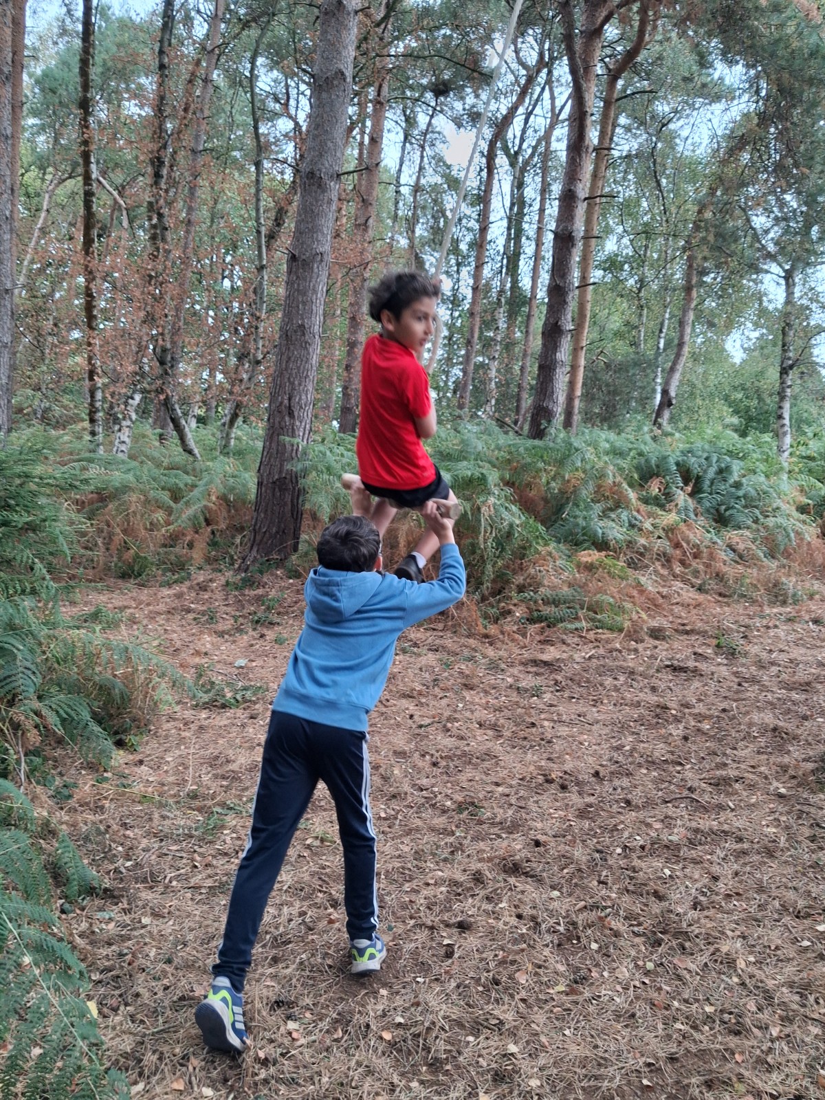 Woodland holiday club Summer HAF - image 12