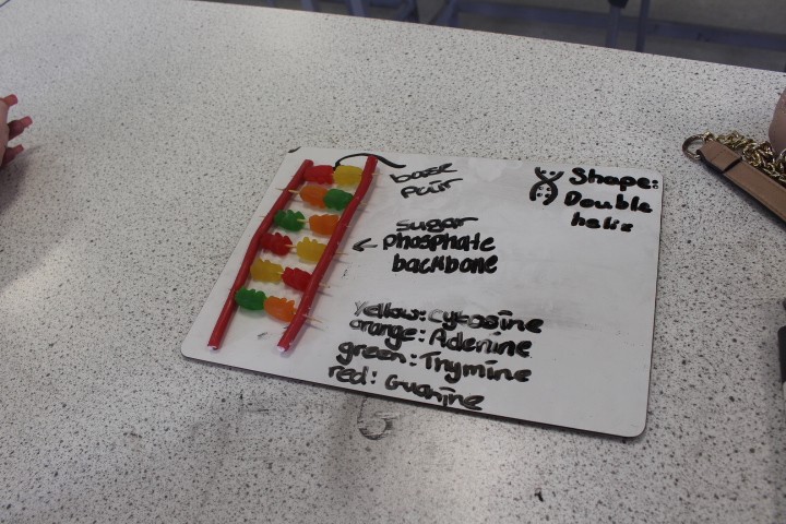 Engineering UTC's STEM Workshops - image 11