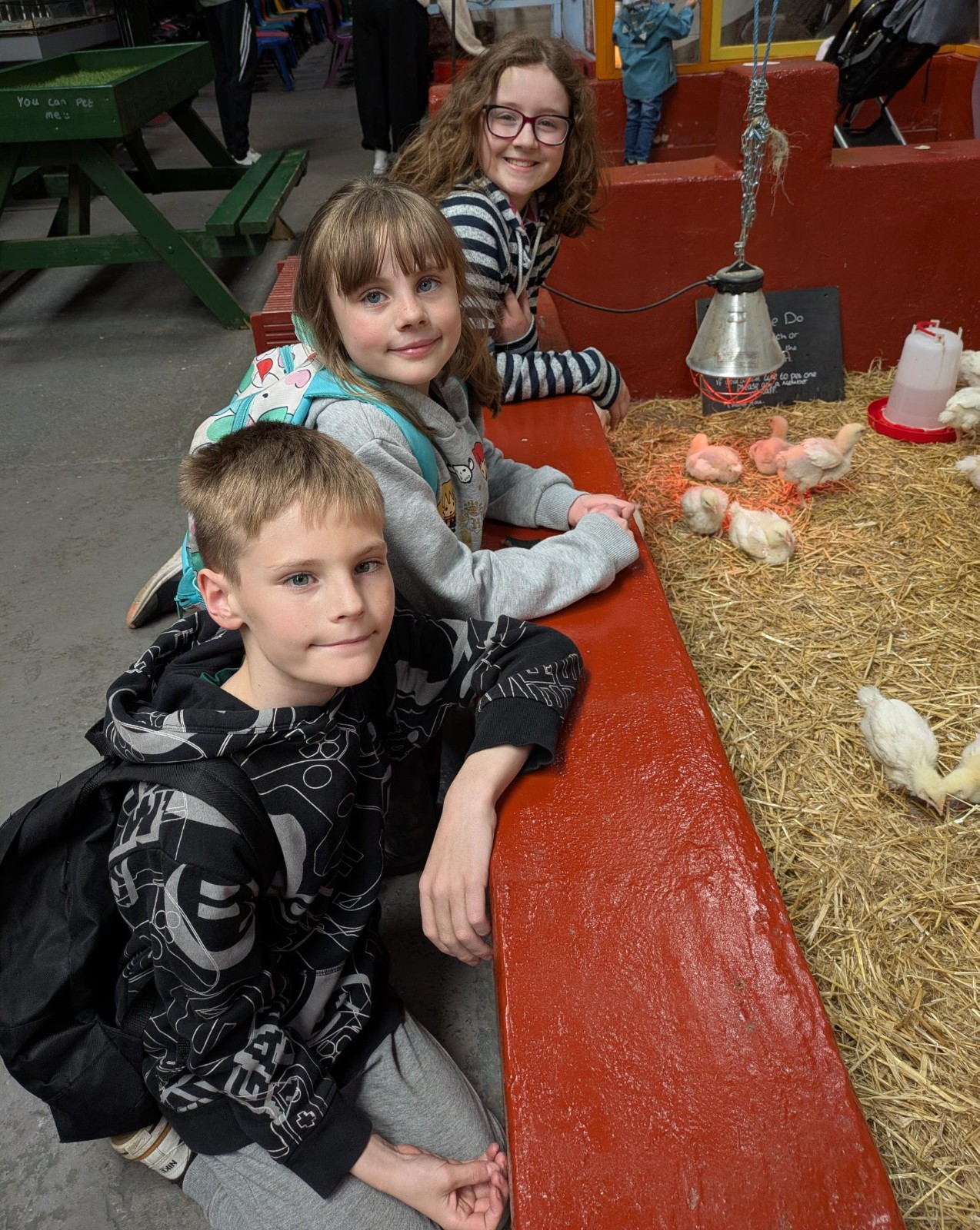 Action for Children Play @ Lower Drayton Farm - image 2