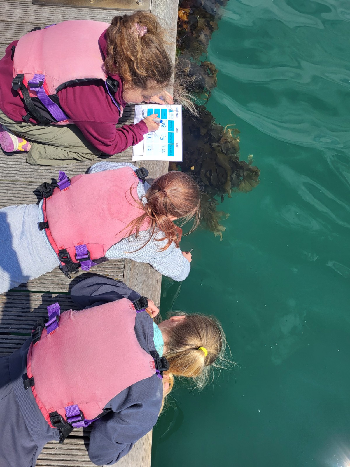Sail GP Environmental Engagement Sessions block mentored by Andrew Simpson Centres