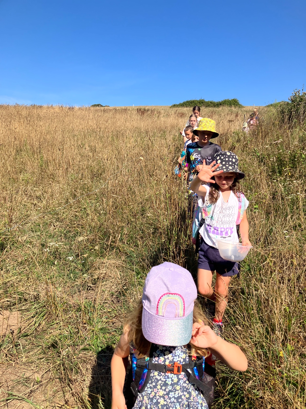 'Go Wild' Children's Session @ Moorhills Farm - image 8