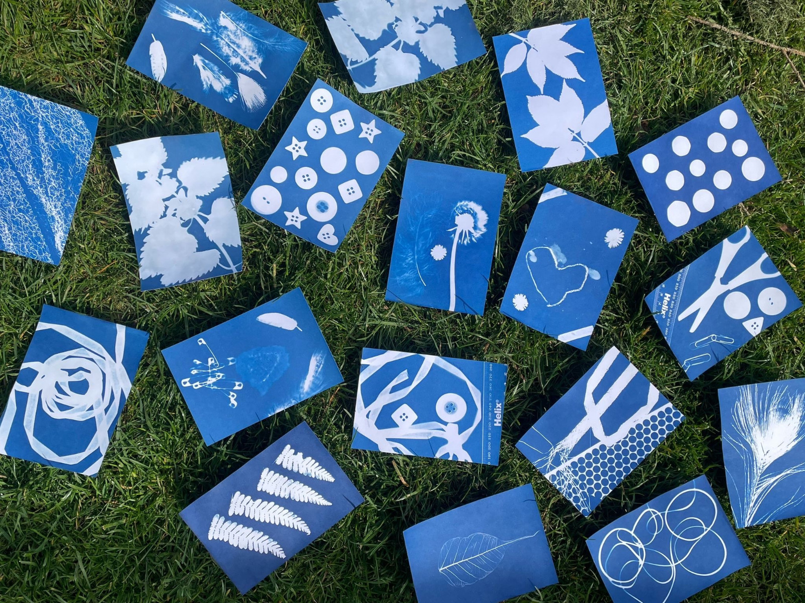 Art & Nature Club block mentored by Fermynwoods Contemporary Art