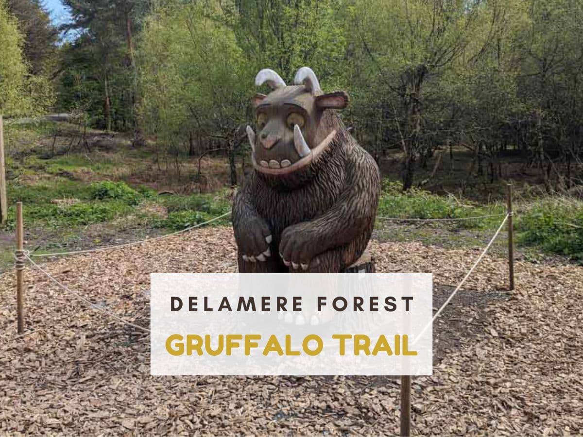 Action for Children Day Trip - Delamere Forest - image 4