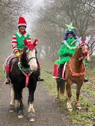 Fun4Families Winter Pony Camp - image 2