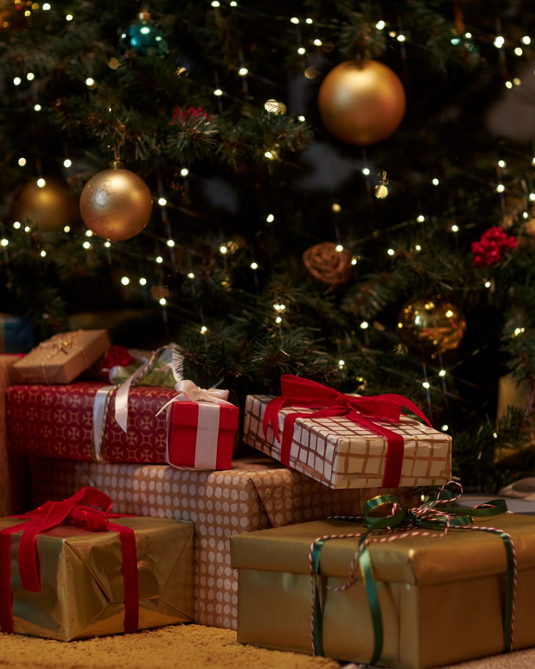 Family Hub on the Border  - Christmas Party - image 2