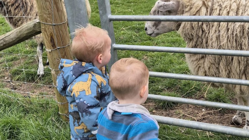 Little Explorers block mentored by The Woad Farm Project