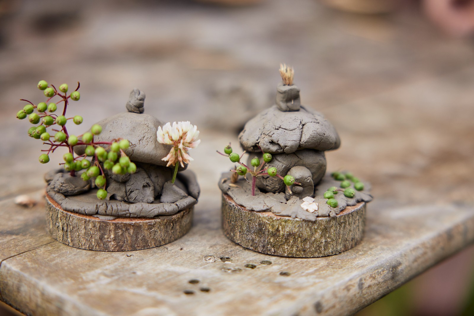 Acorn Hollow - Saplings - Nature Art Sessions - image 7
