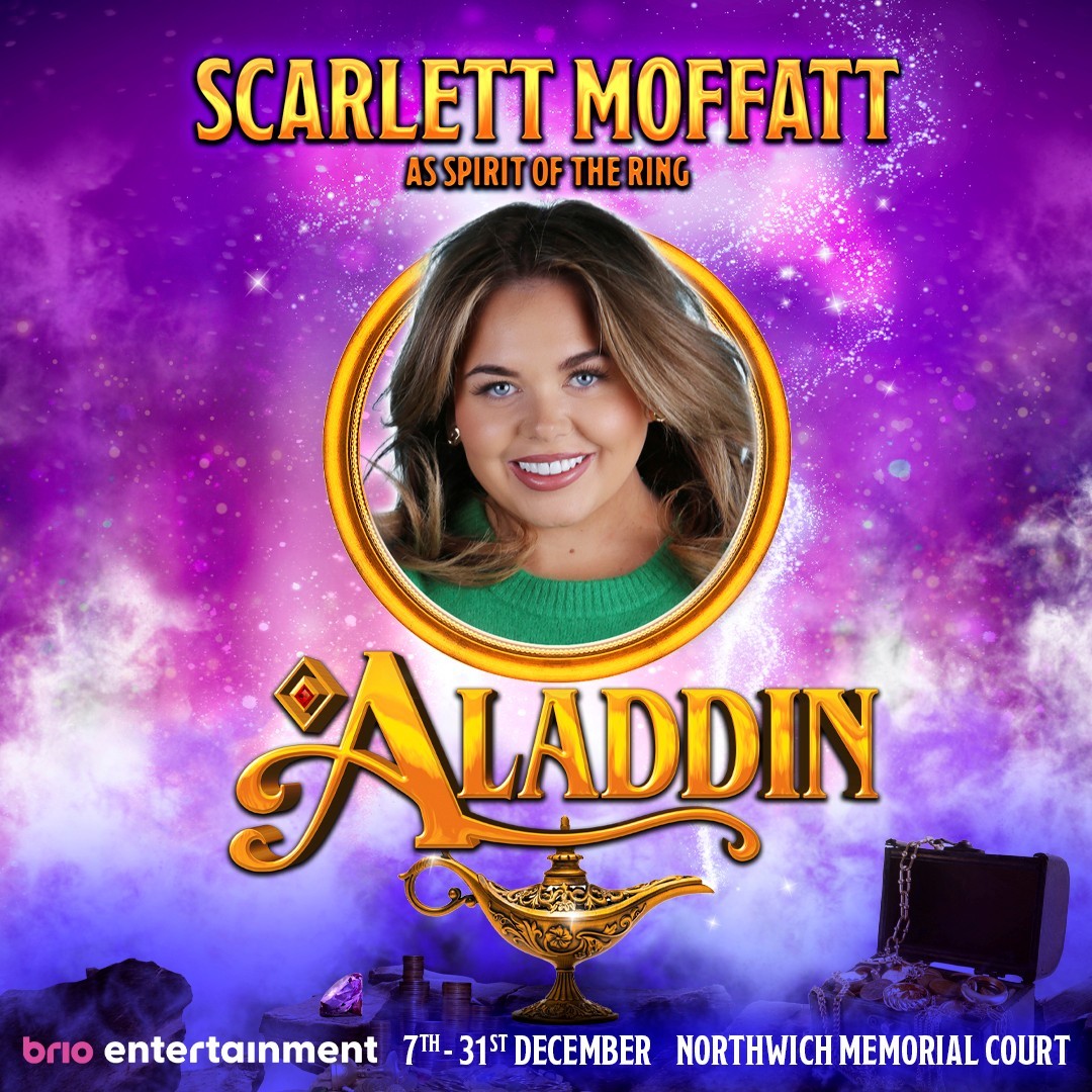 Brio Northwich Panto - image 2