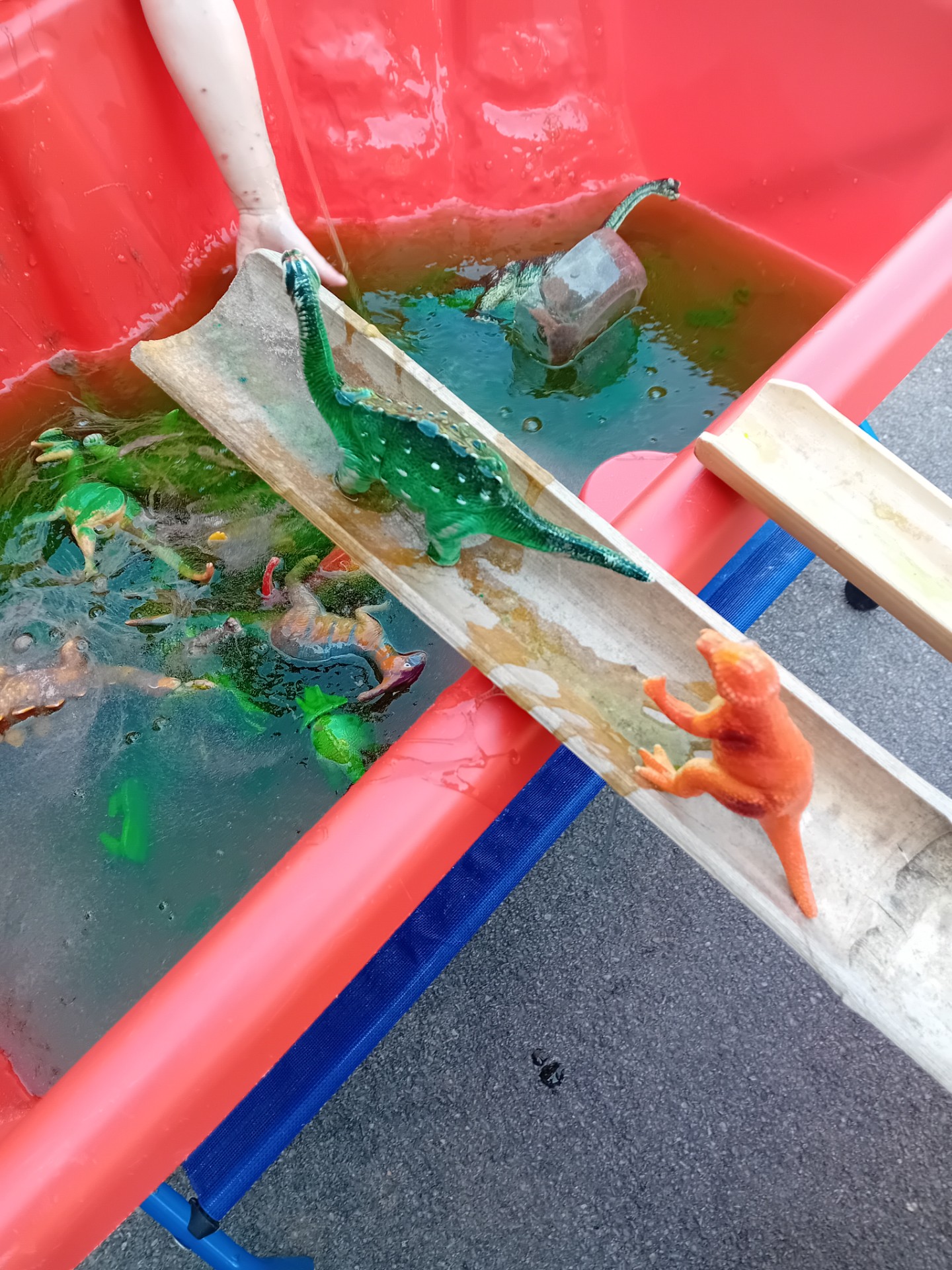 SEND furry friends stay and play Loseley - image 5