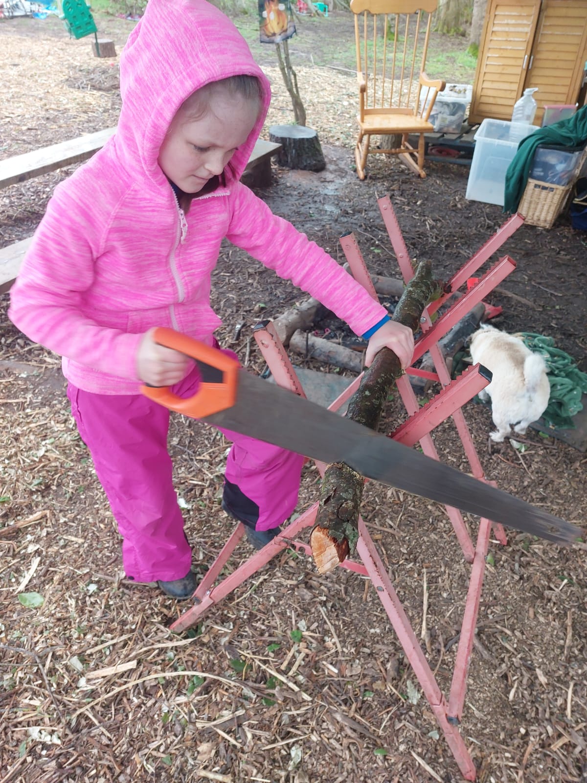 Forest Families - Bushcraft Holiday Club - image 5