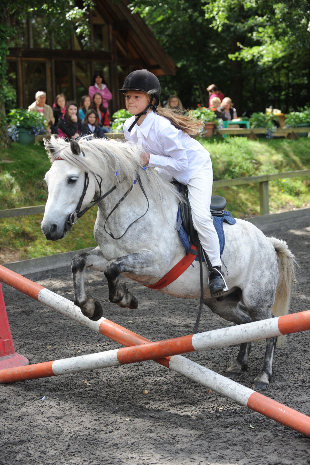 Budleigh Riding School - Pony Club ages 11-17 - image 3