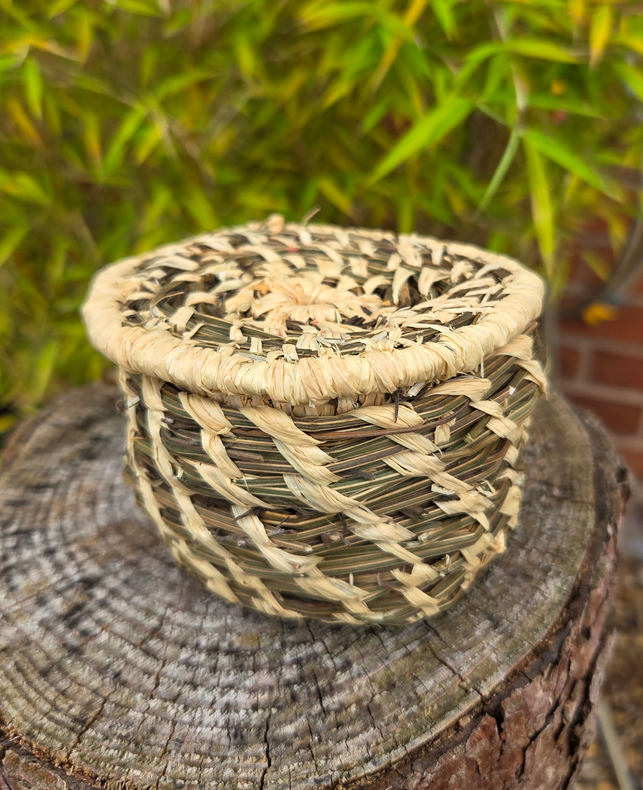 Coil pots exploring natural materials - image 3