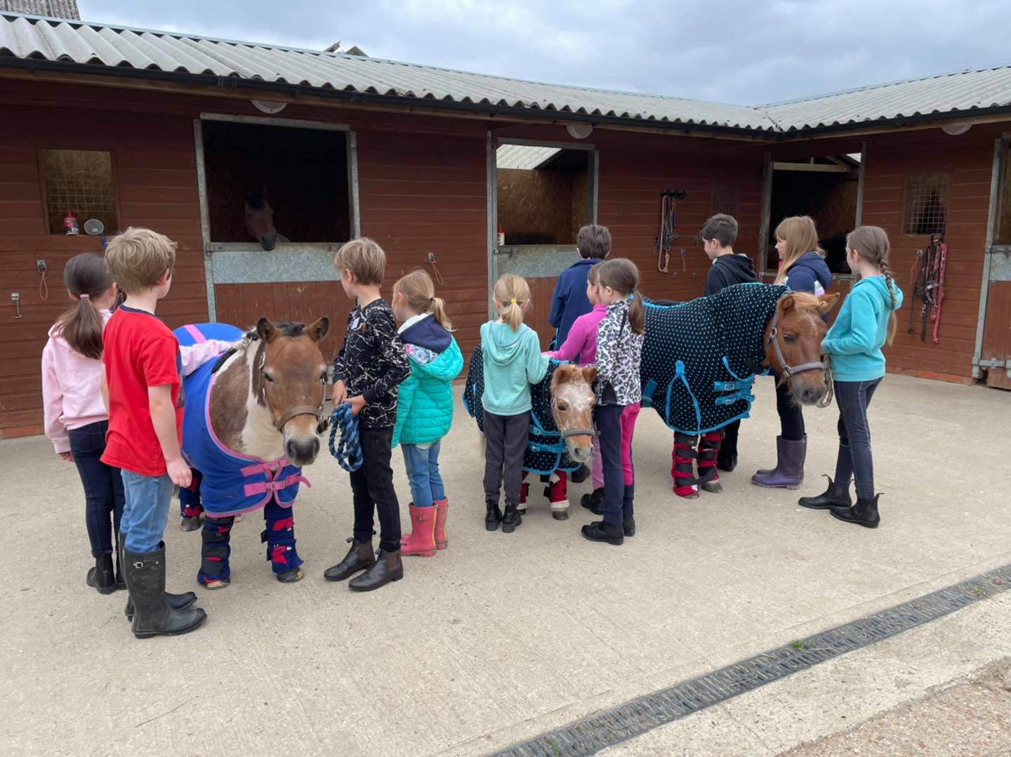 Riding and Pony Care BNHF Fun day - image 4
