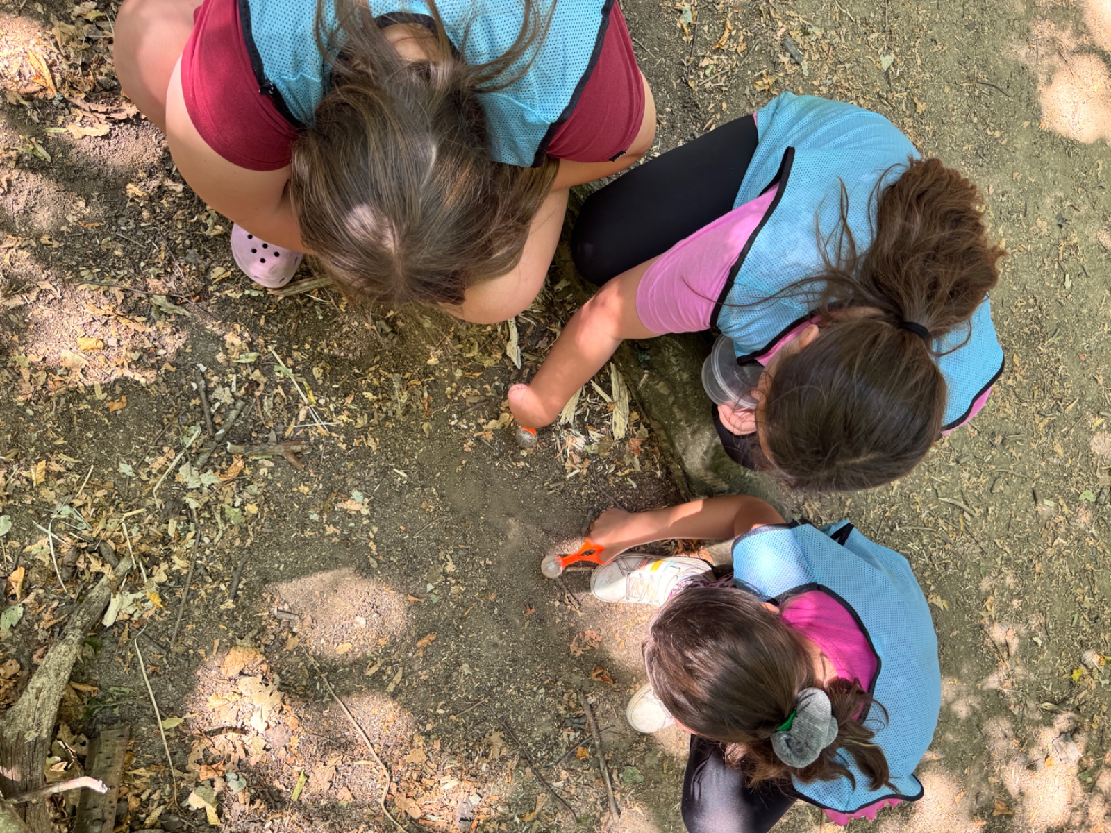 Knockhatch Forest School & Adventure Park Camp - image 6