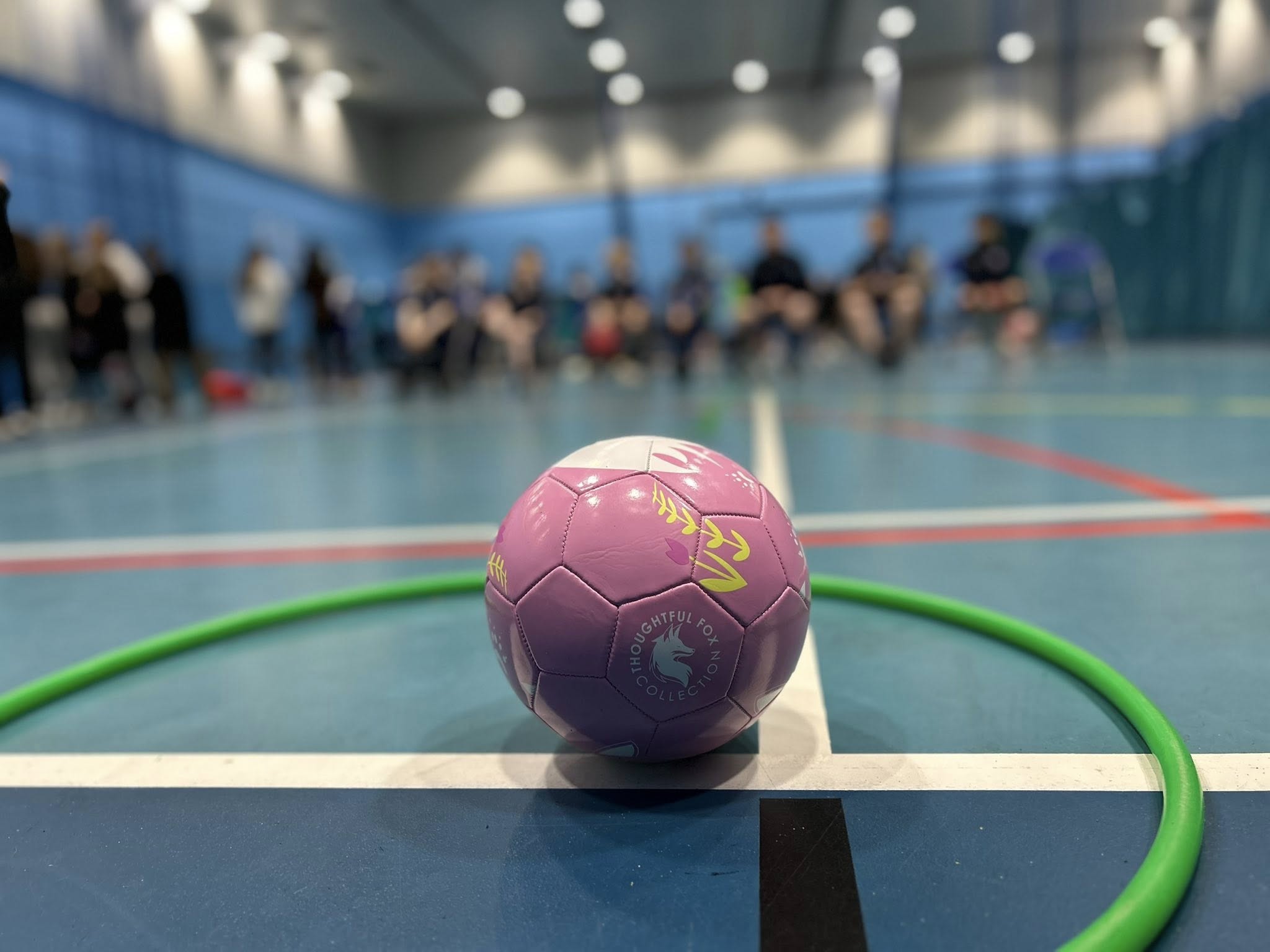 Waterlane Leisure Centre XMAS HAF - image 4