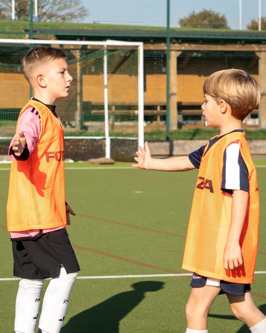 Court de Wyck - Ultimate activity camp - image 3