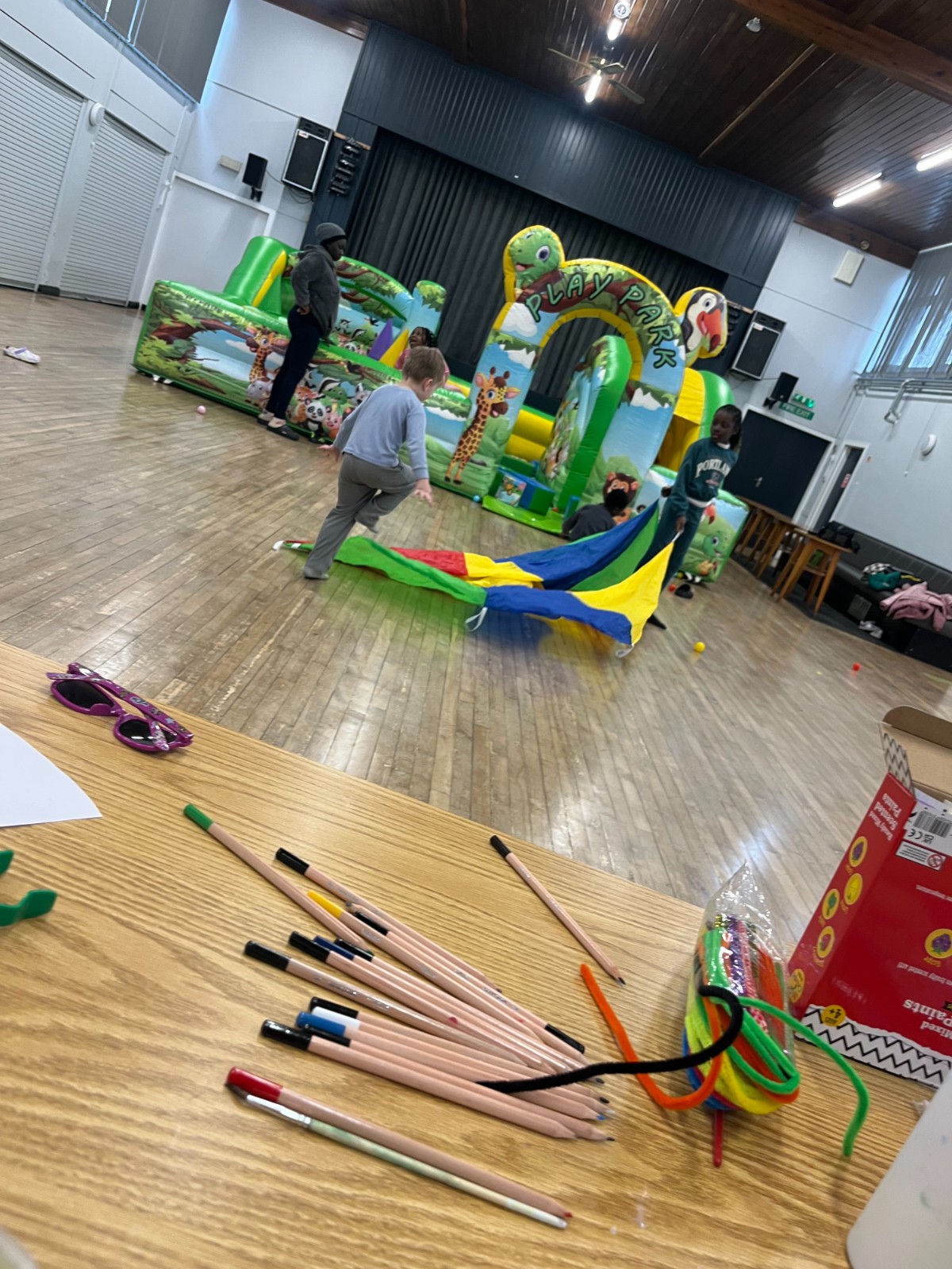 Garden Project, Inflatables...FUN! - image 2