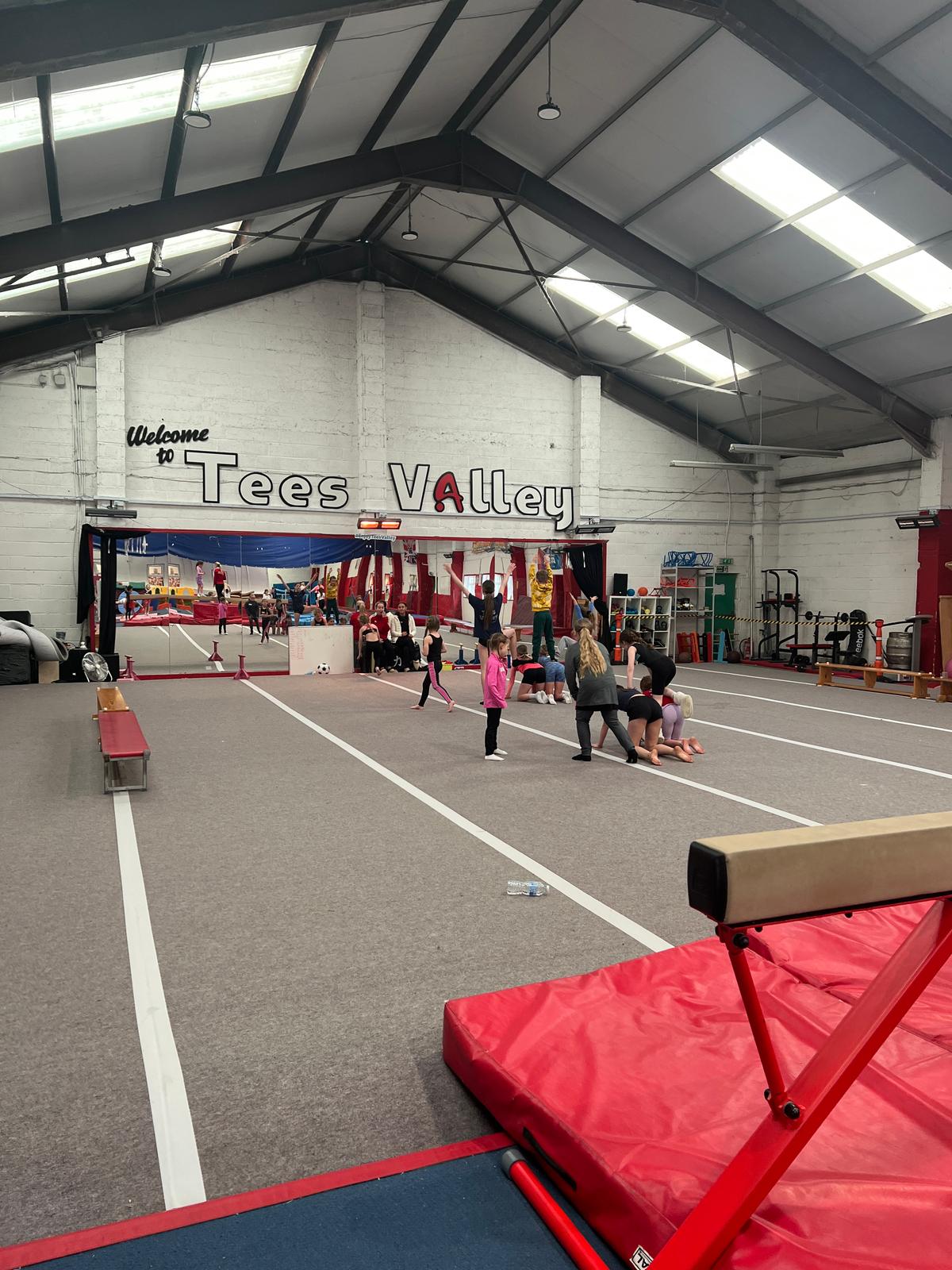 Gymnastics Camp - image 7