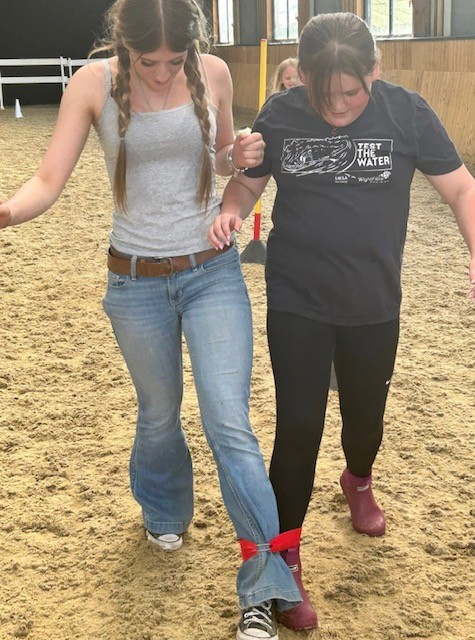 Wight Horse CIC HAF Equine Activities - image 5