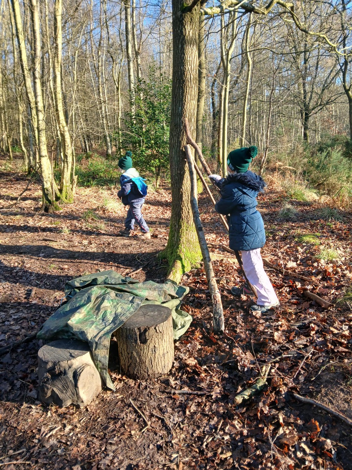 Cook in the Woods block mentored by Heart of England Forest
