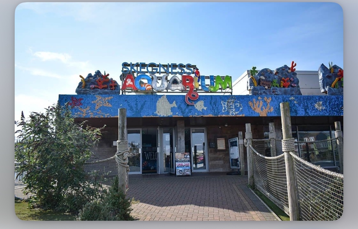 SEND - Skegness beach and aquarium (Trip) block mentored by Little Miracles Charity (South Kesteven)