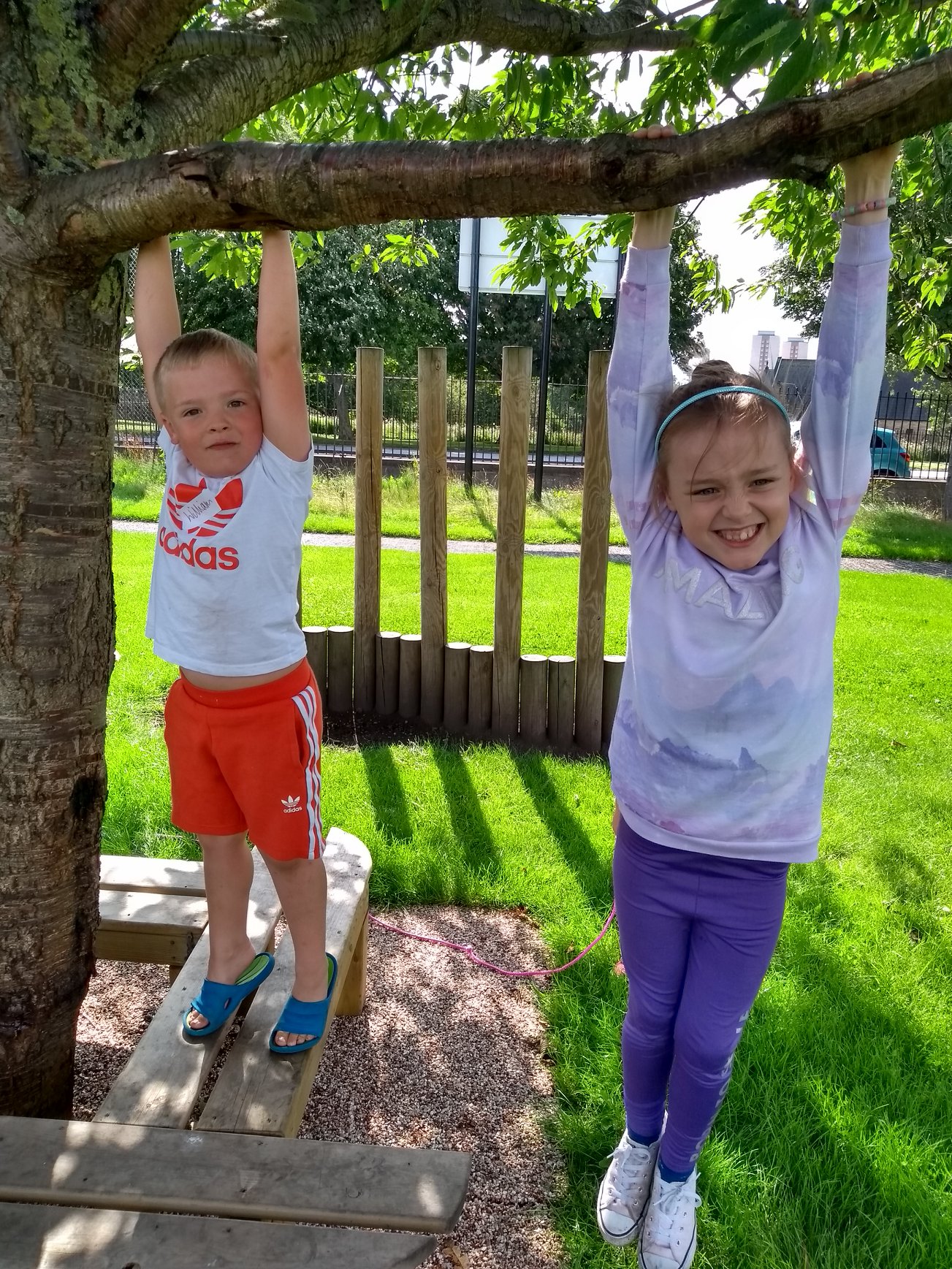 SCAG Dame Dorothy/Redby HAF (5-11years) - image 8