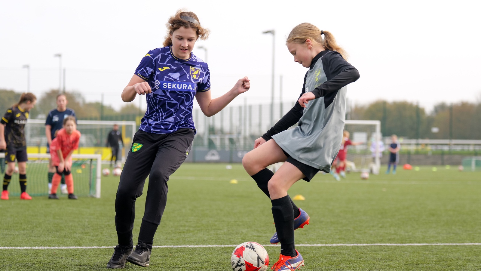 Norman Centre HAF - image 6