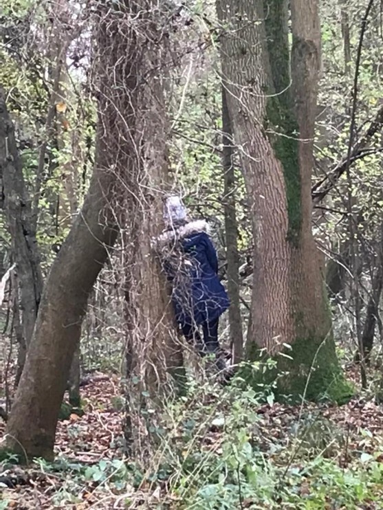 Thornham Walks Forest Bathing - image 33