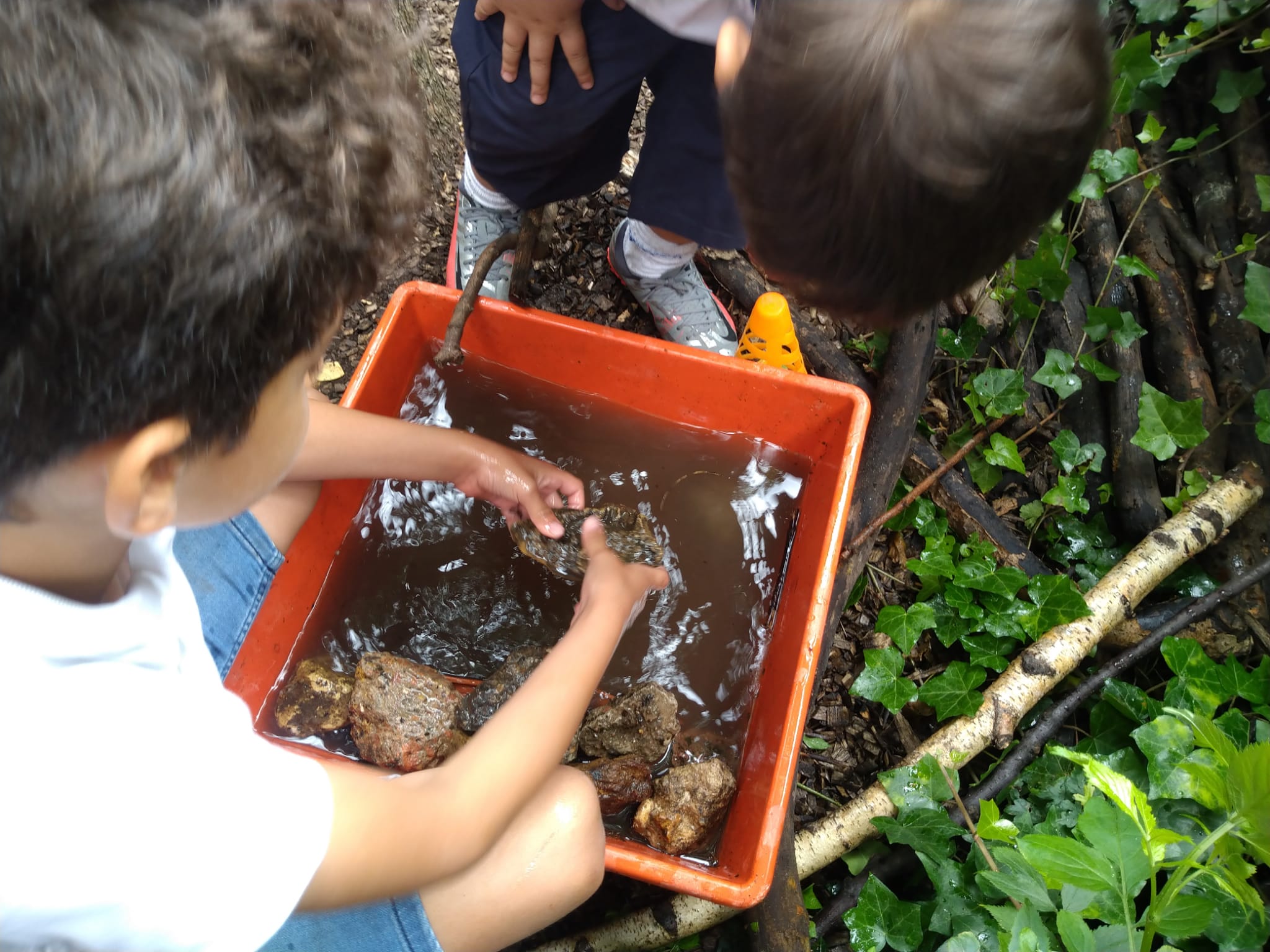 Oasisplay Nature Garden - image 6