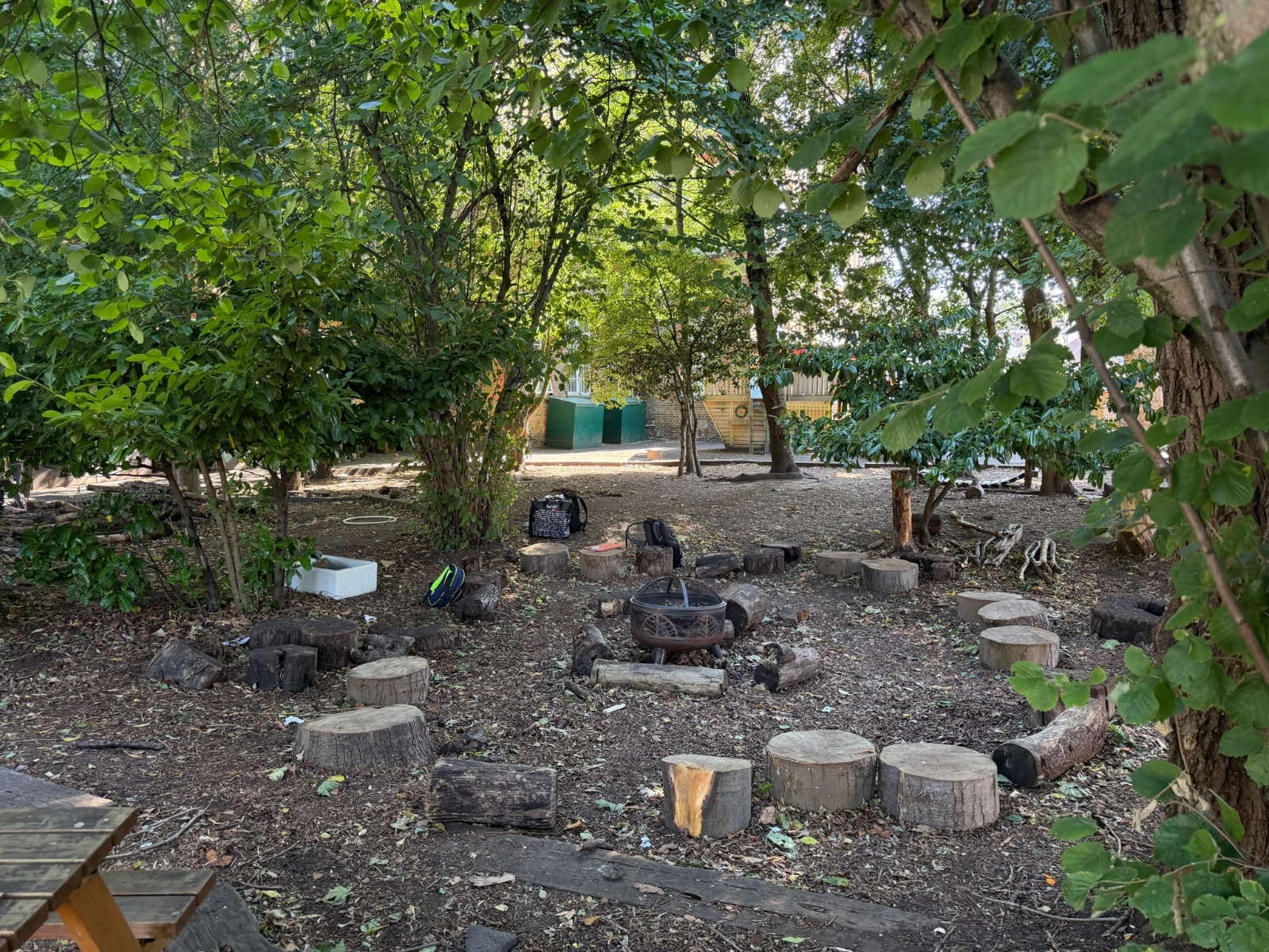 Summer Wild Weeks - image 2
