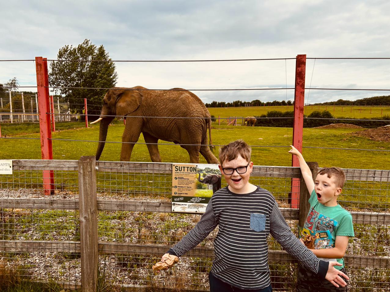 Family Trip to Noah's Ark Zoo Farm - image 3