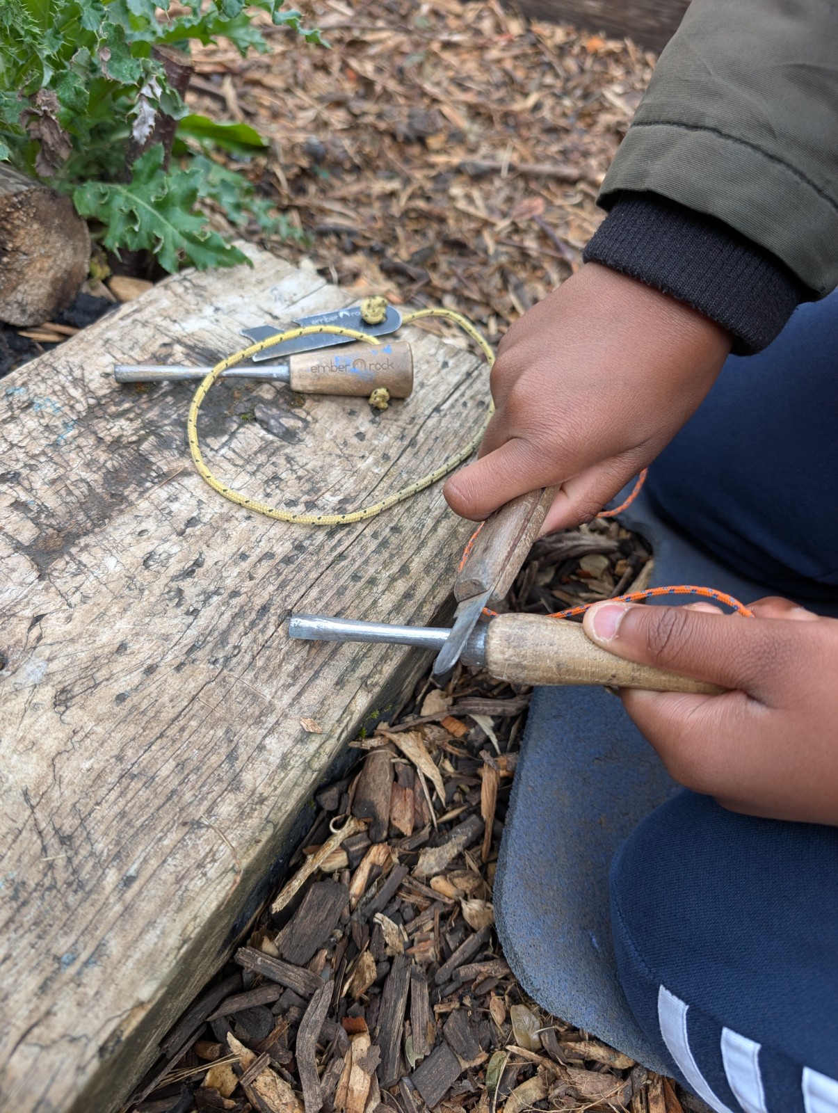 Level 1 Forest School - An Introduction - image 6