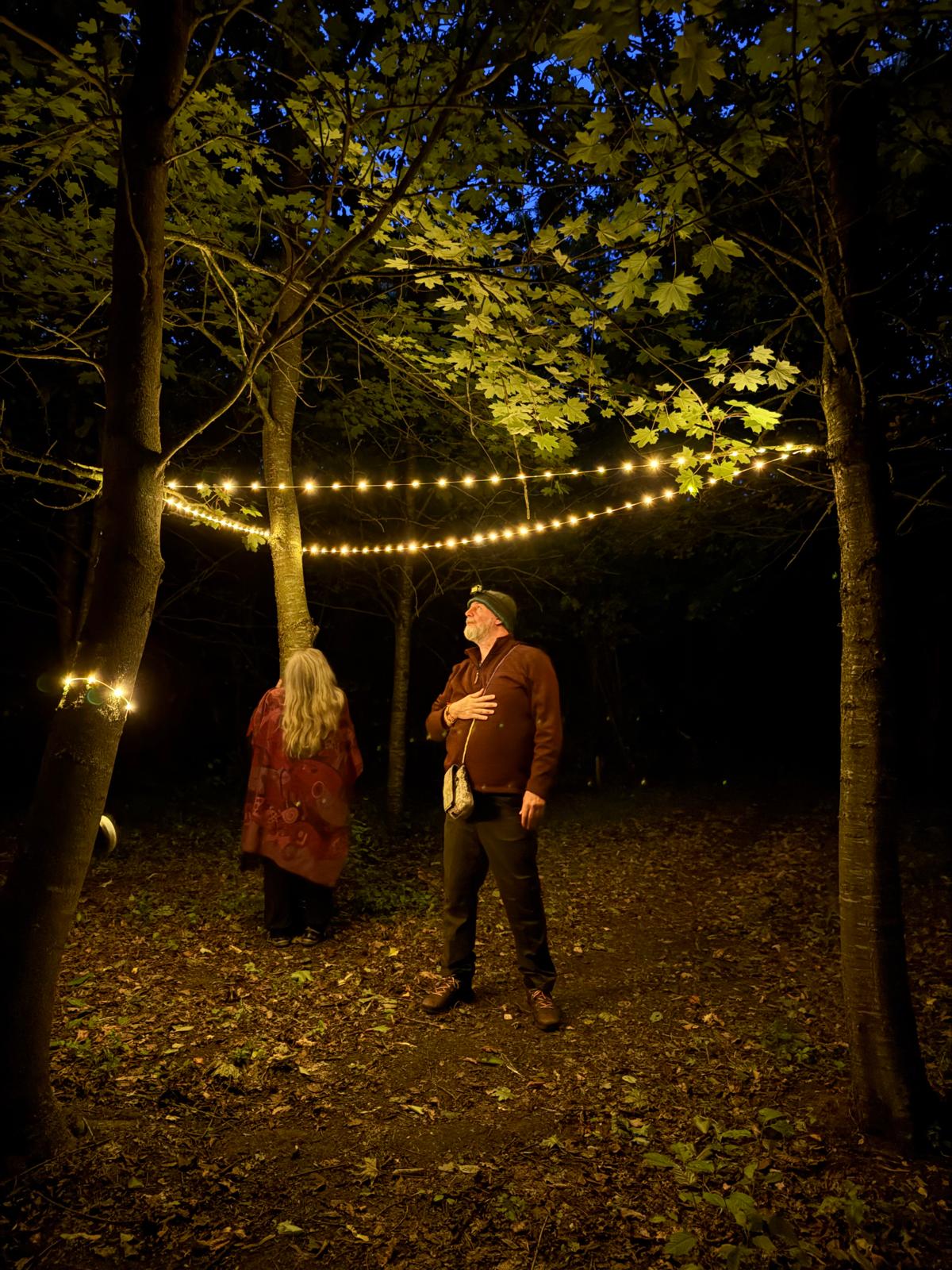 Thornham Walks Forest Bathing - image 12