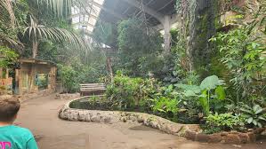 Kindi Famili visit to Chester Zoo - image 5