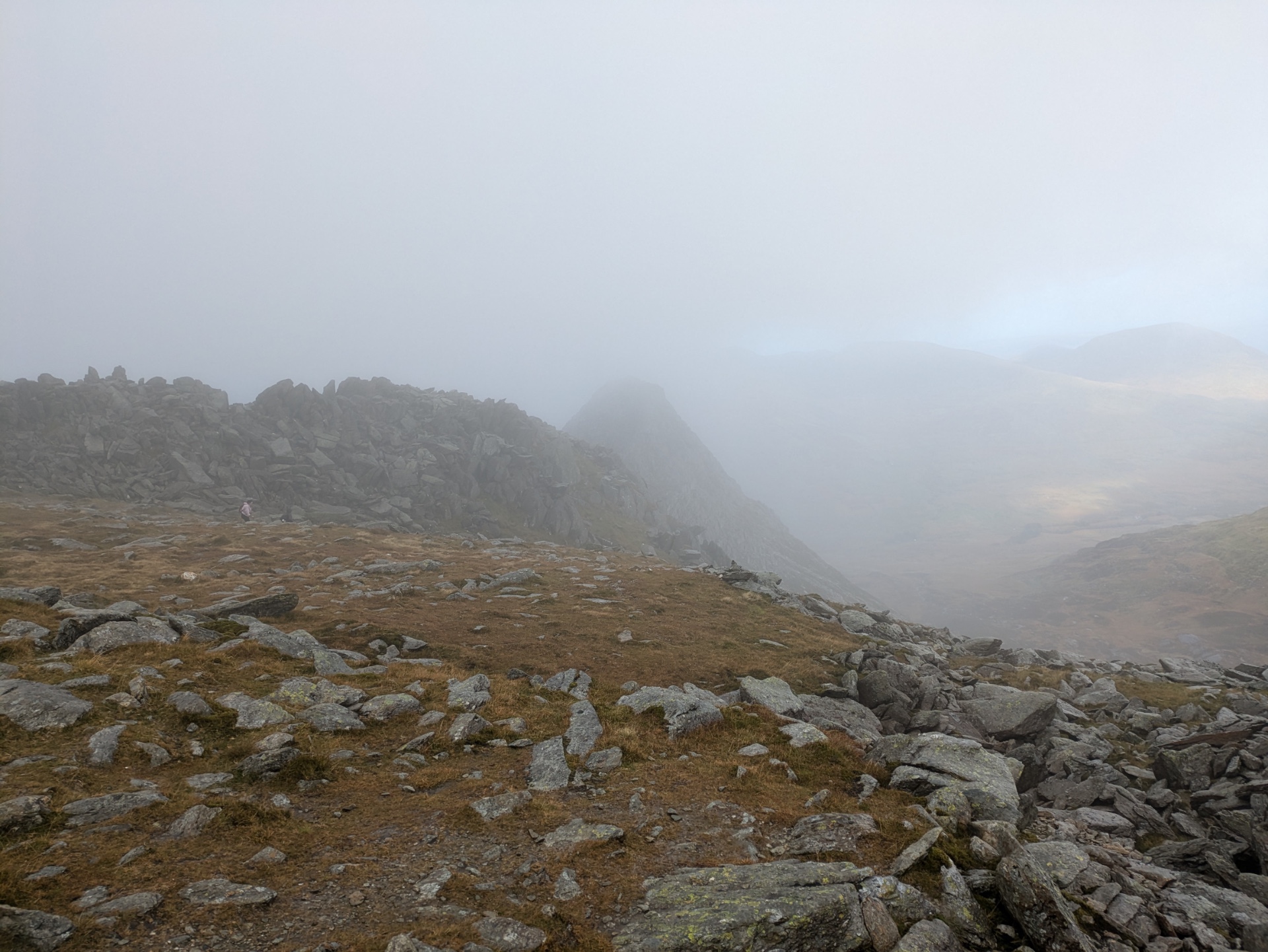 LHW Welsh 3000ers -minus the scary ones! - image 5