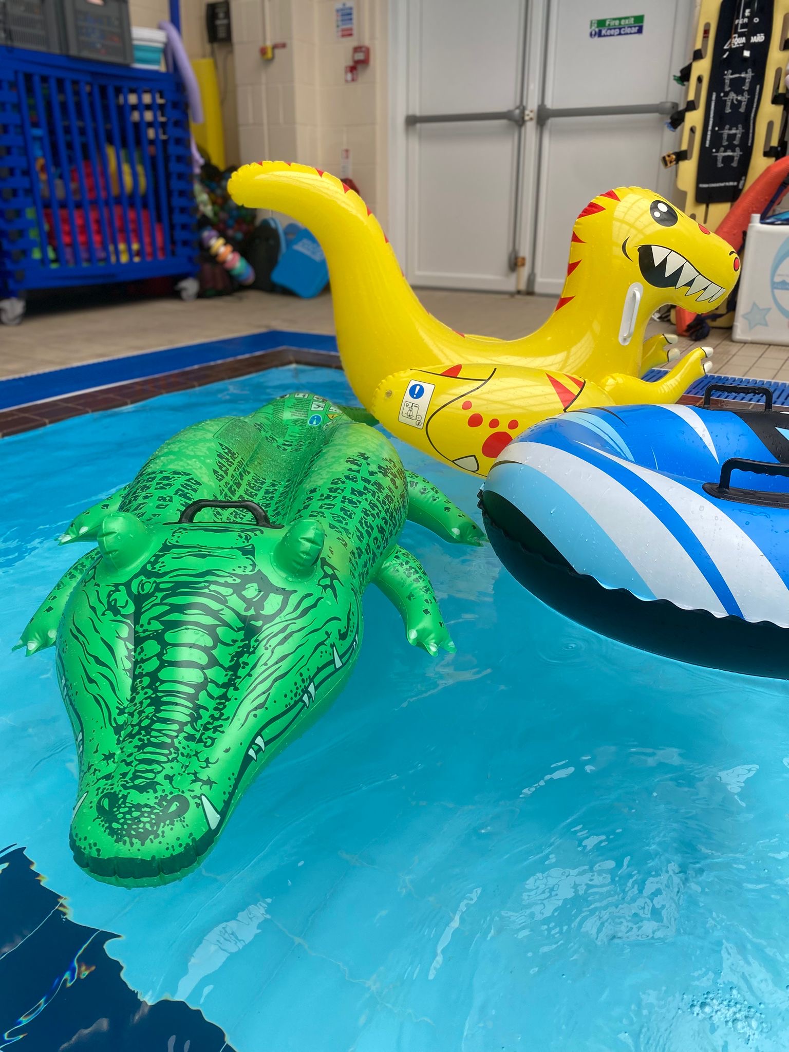 SAP Family Fun Swim Sessions - image 10