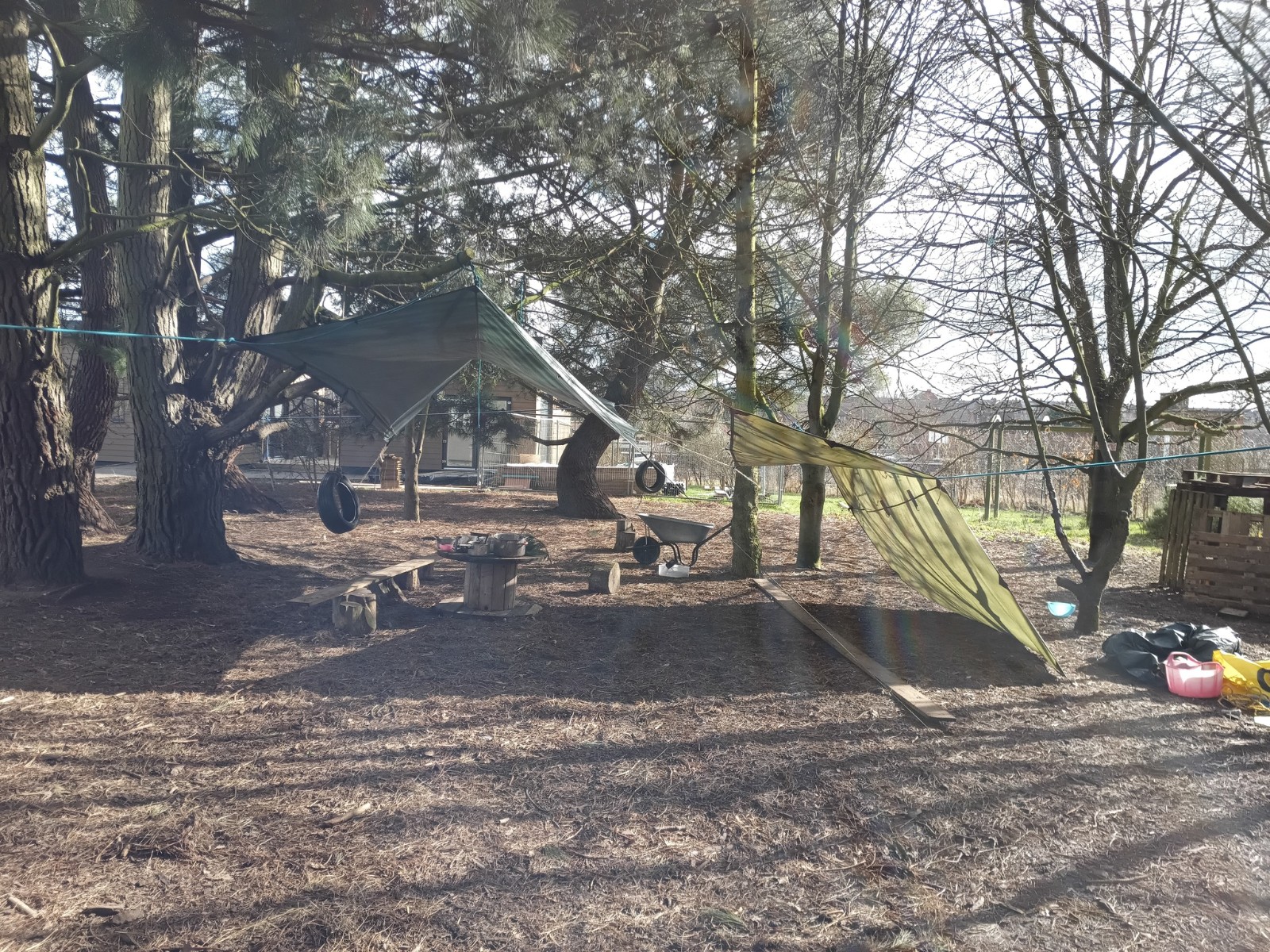 Survival Skills Teen Challenge - image 2