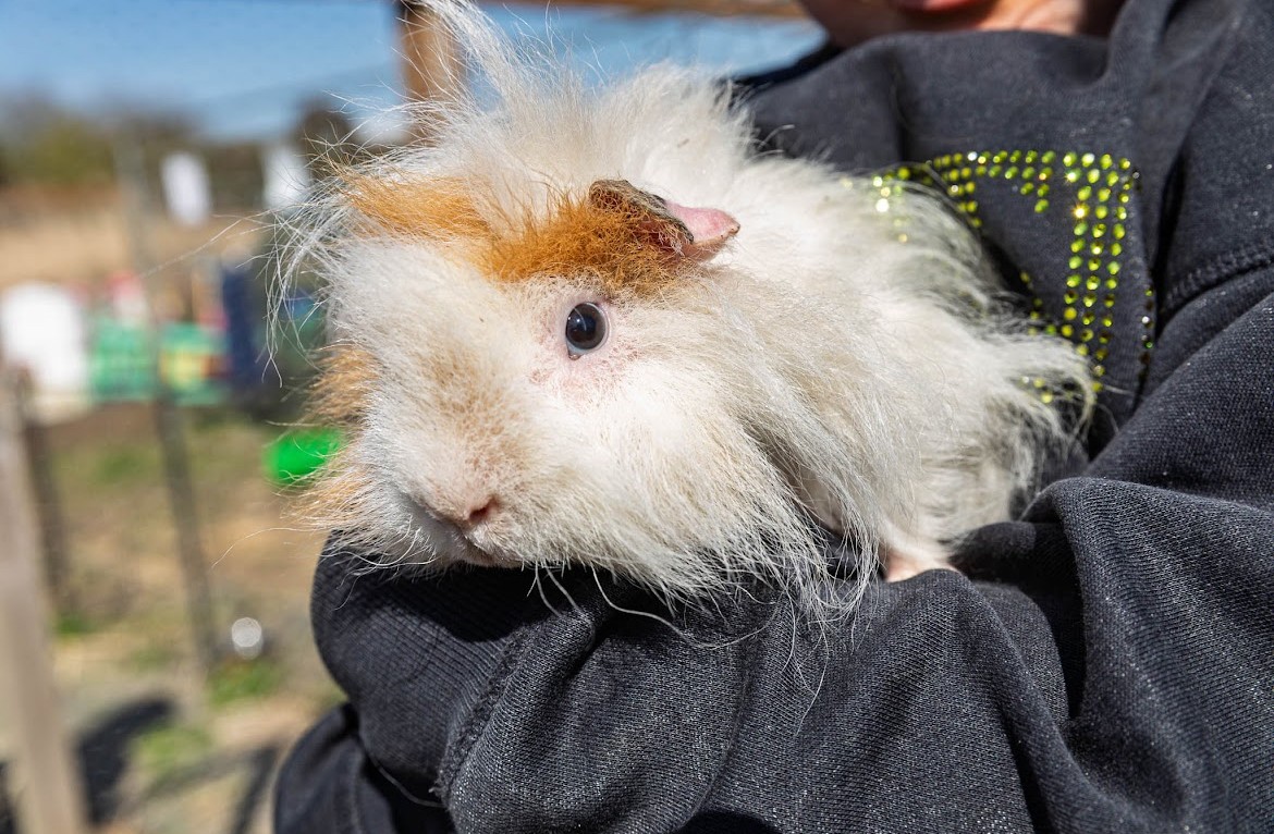 HAF Easter Holiday Club - image 2