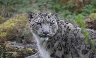 EHCP Twycross Zoo - image 3