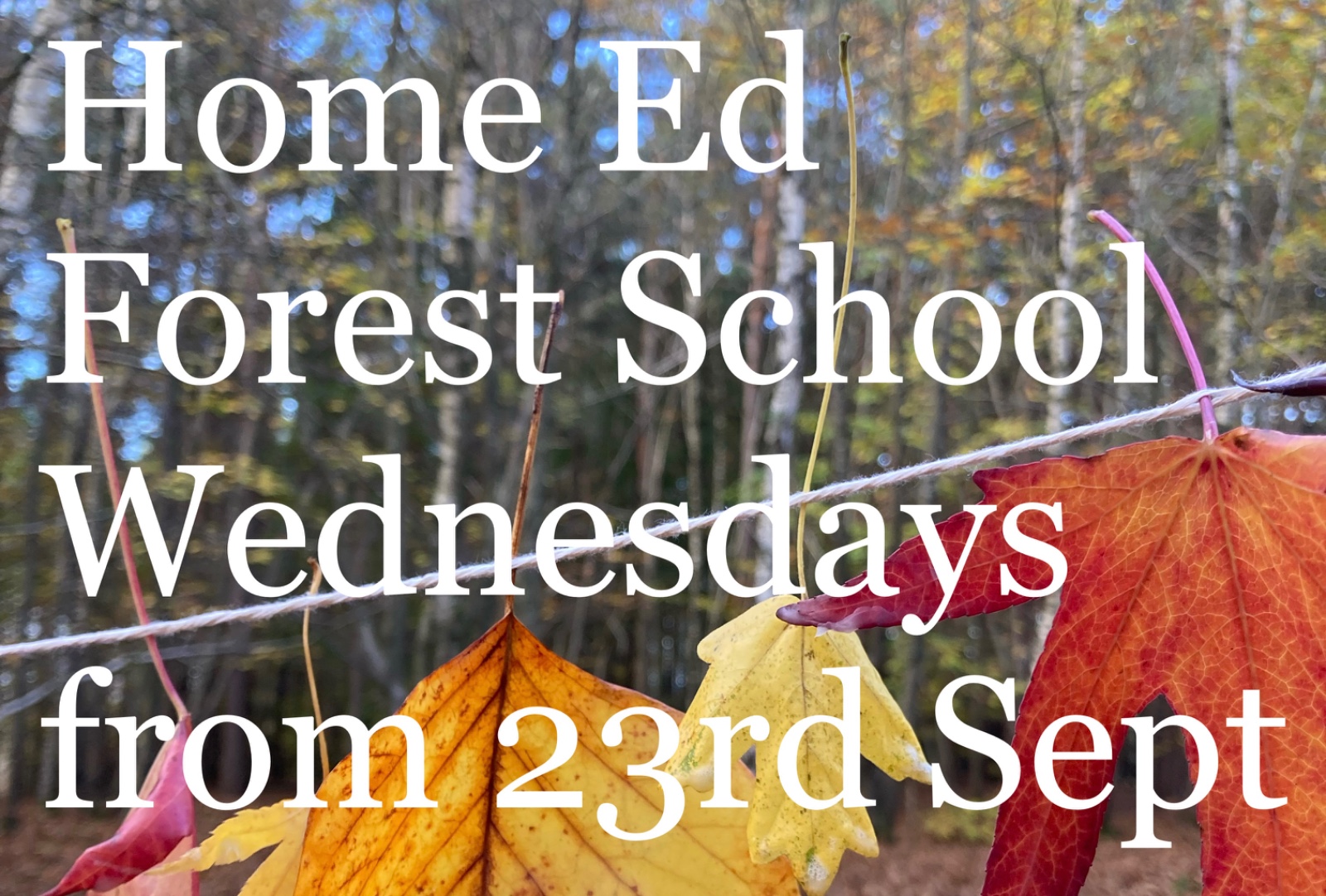 New Weekly Forest School - image 5