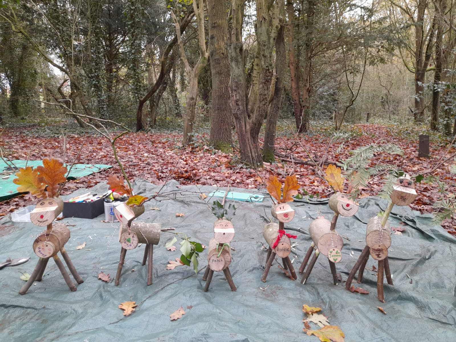 Staffs Wildlife Wooden Reindeer Workshop - image 3