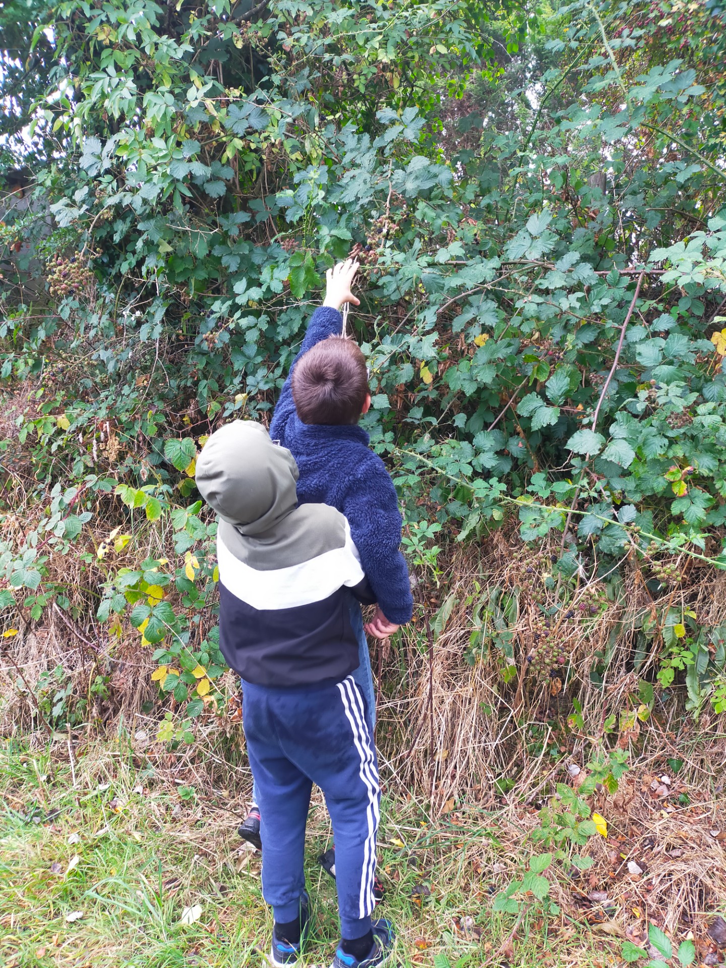 February Half Term HAF Club - image 2