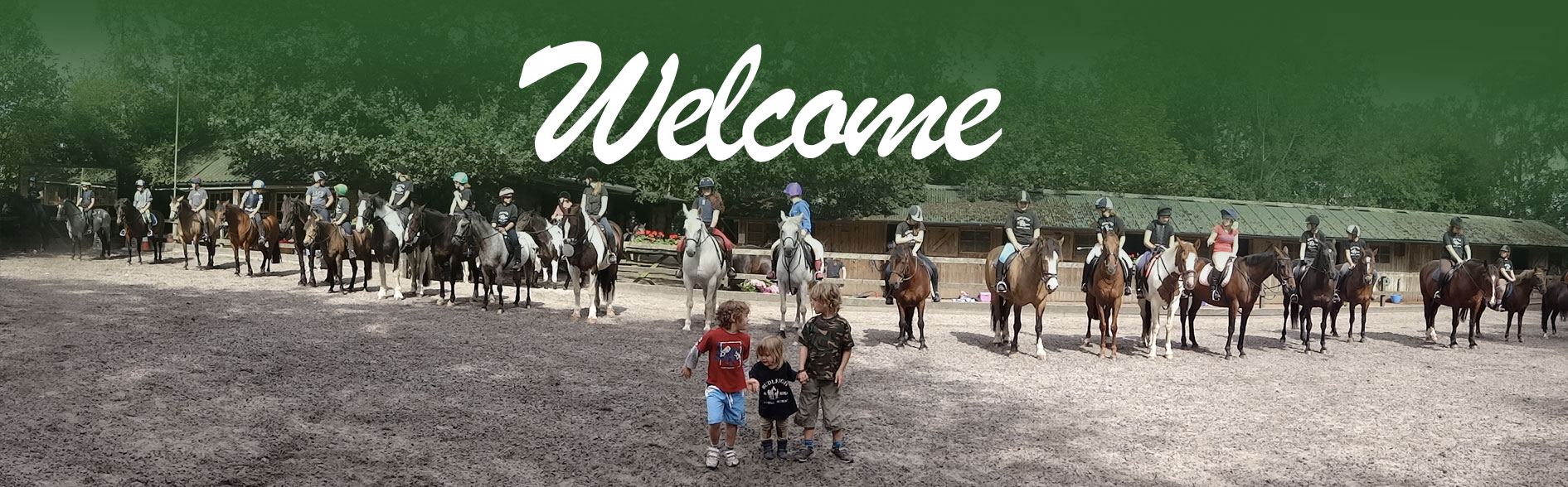 Budleigh Riding School - Pony Club ages 11-17 - image 2